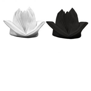 Color Napkins