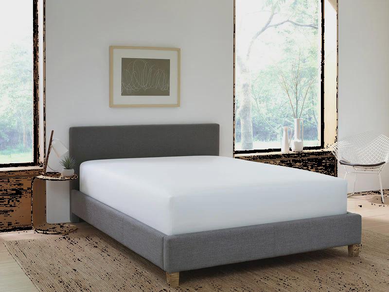 Five Sided mattress protector Case of 12